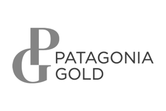 Patagonia-Gold-Logo