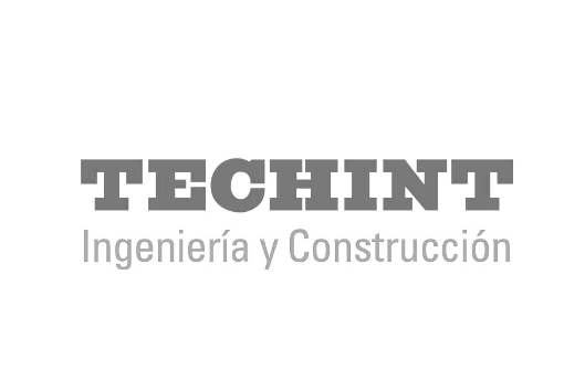 Techint-Logo